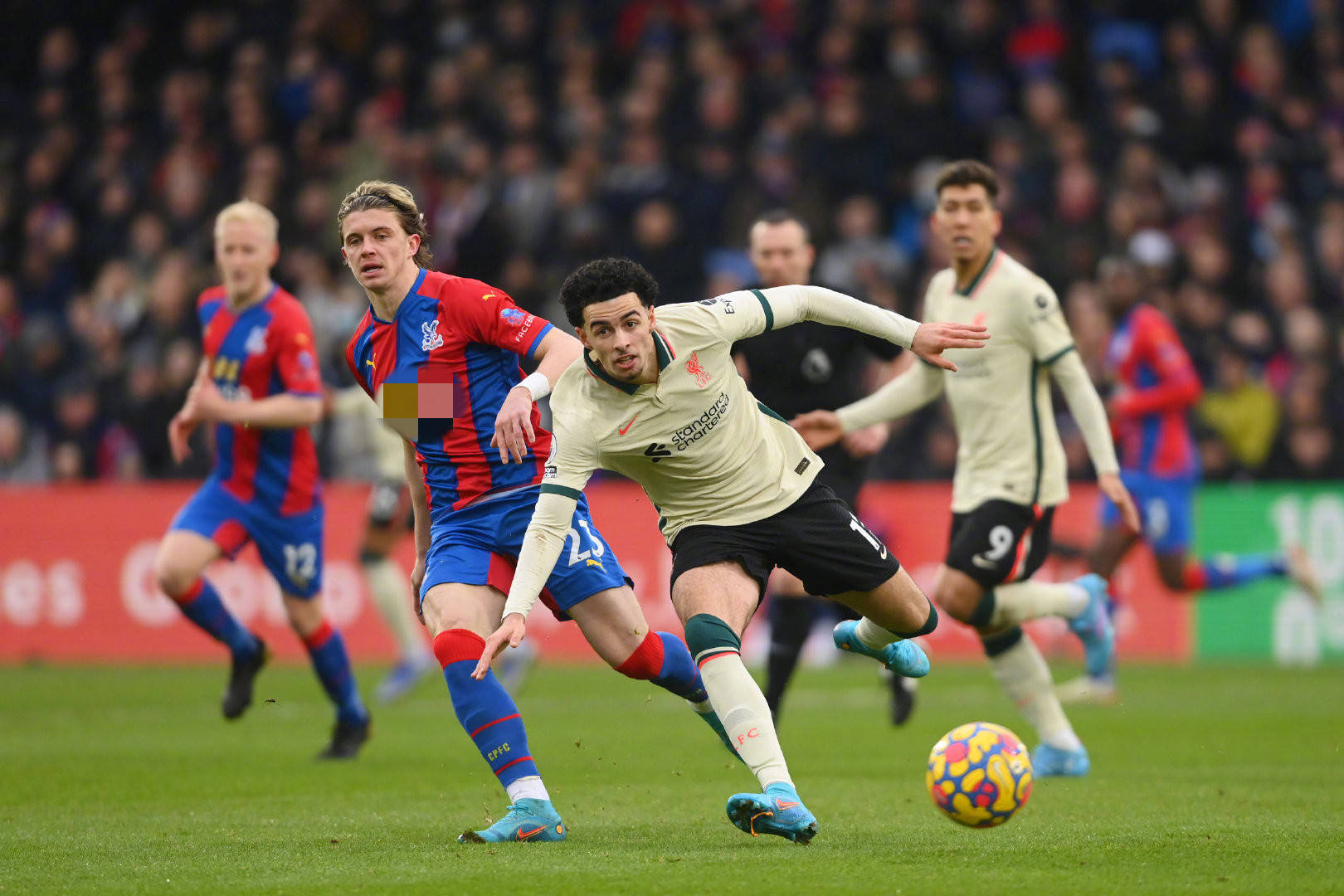 这一决定立 这一决定立